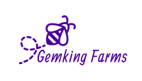 GemKing Logo