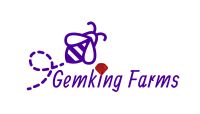 GemKing Logo